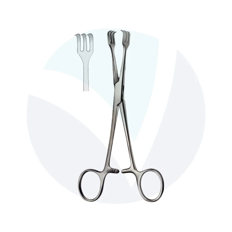 LAHEY Forceps - Image 2