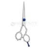 Professional Hairdressing Salon Scissor
